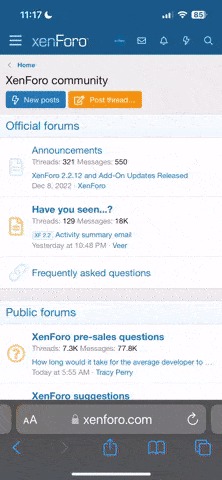 accessing the dark web