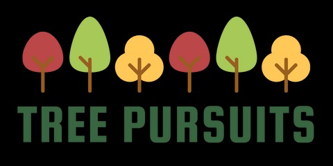 can you buy drugs online